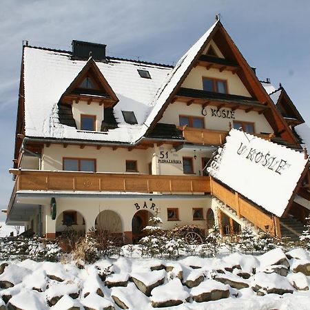 Willa U Kosle Zakopane Extérieur photo